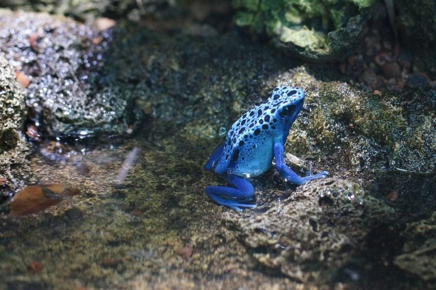 vivarium regulace vlhkosti