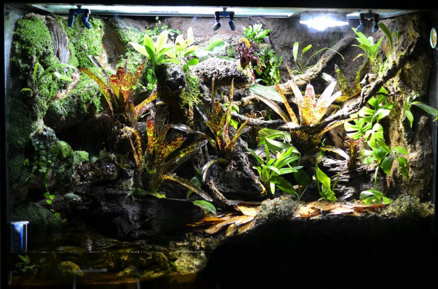  Vivarium omkostninger